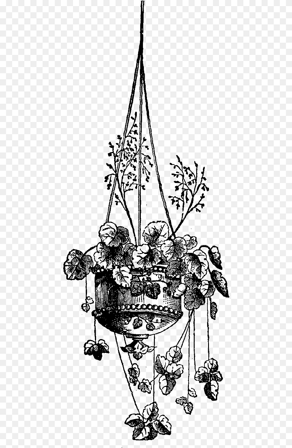 Hanging Flower Basket Drawing, Nature, Night, Outdoors, Silhouette Png