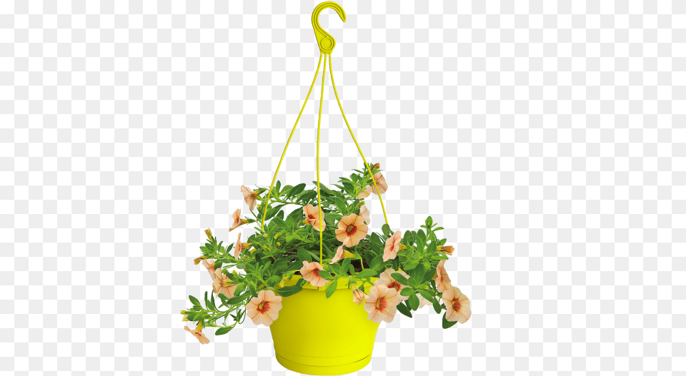 Hanging Flower Pot Clipart, Vase, Geranium, Jar, Pottery Png