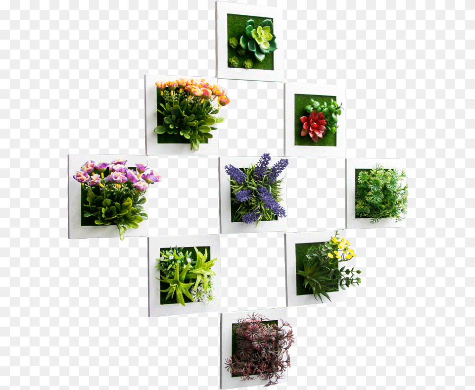 Hanging Flowers, Art, Plant, Geranium, Flower Bouquet Png Image