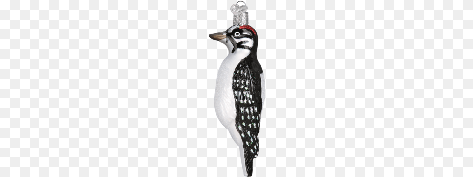 Hanging Hairy Woodpecker Ornament Hanging Hairy Woodpecker Christmas Ornament, Animal, Bird, Nature, Outdoors Png Image
