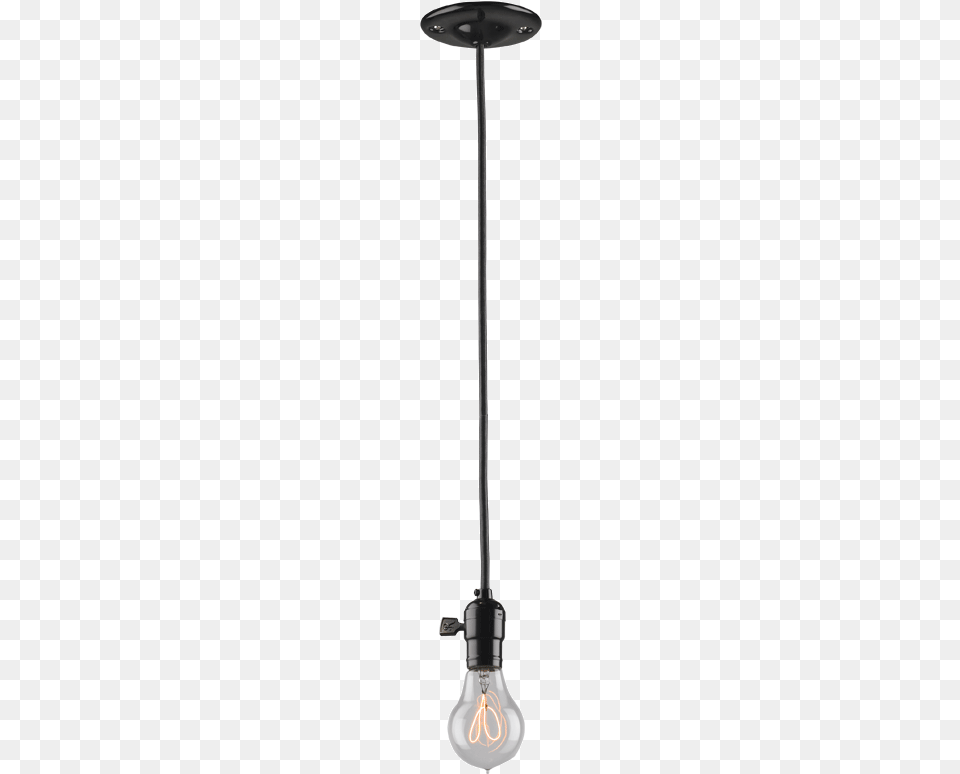 Hanging Light Bulb Ceiling Light Bulb, Lamp Png