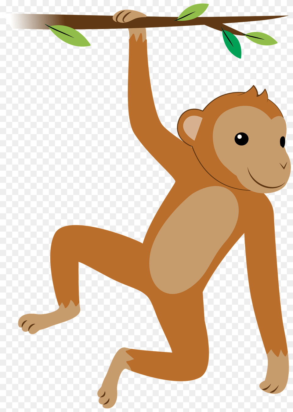 Hanging Monkey Clipart, Animal, Mammal, Wildlife, Kangaroo Free Png Download