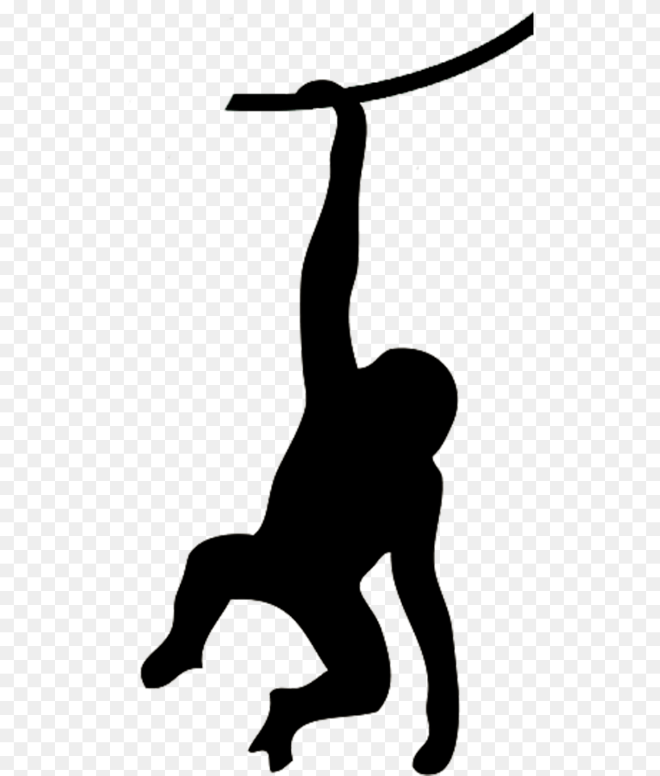 Hanging Monkey Silhouette, Animal, Wildlife, Person Png