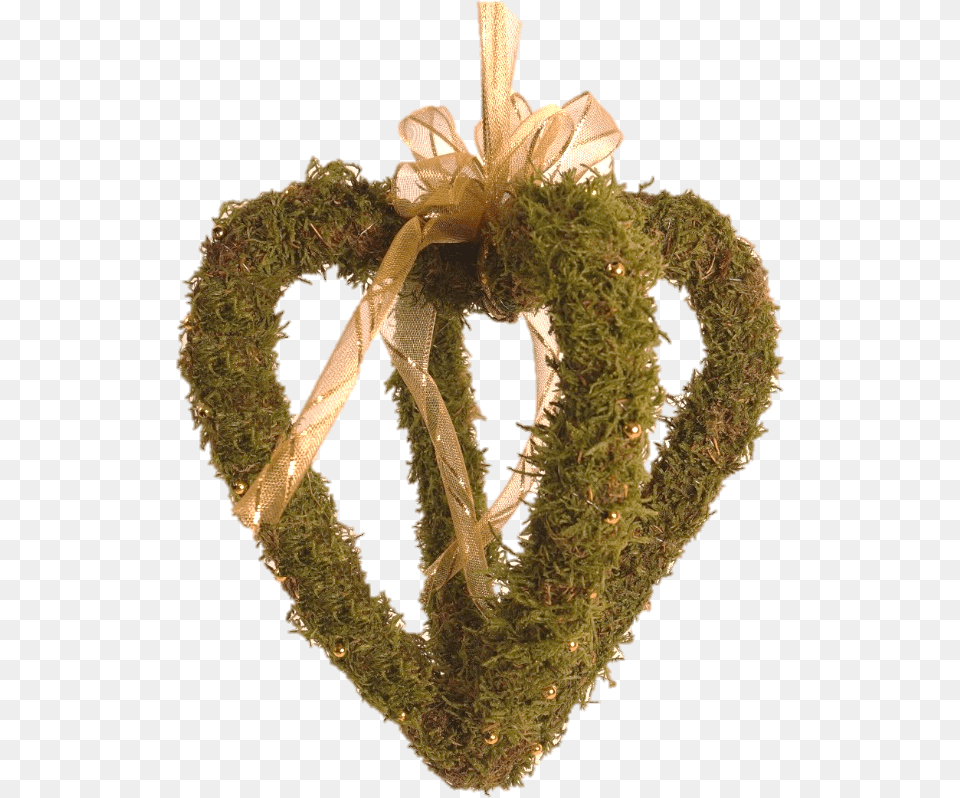 Hanging Moss Wreath, Plant, Accessories Free Transparent Png