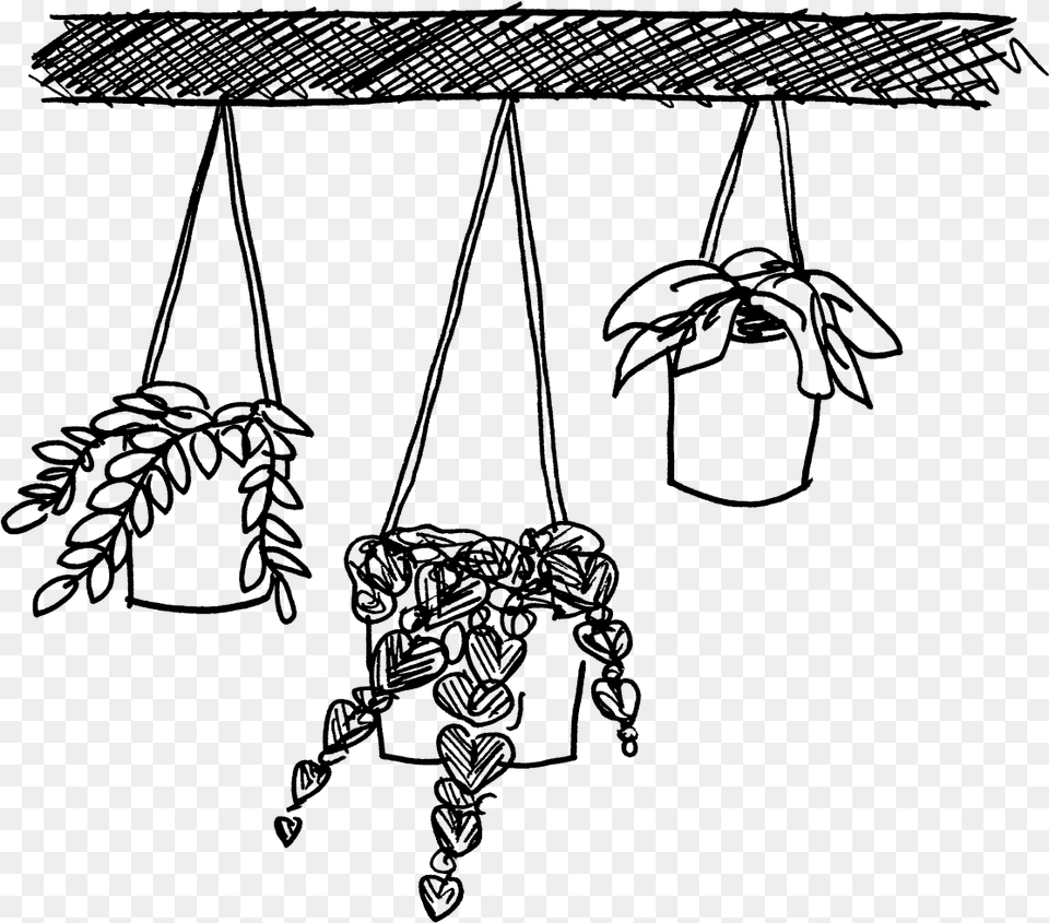 Hanging Plant Clip Art, Gray Png