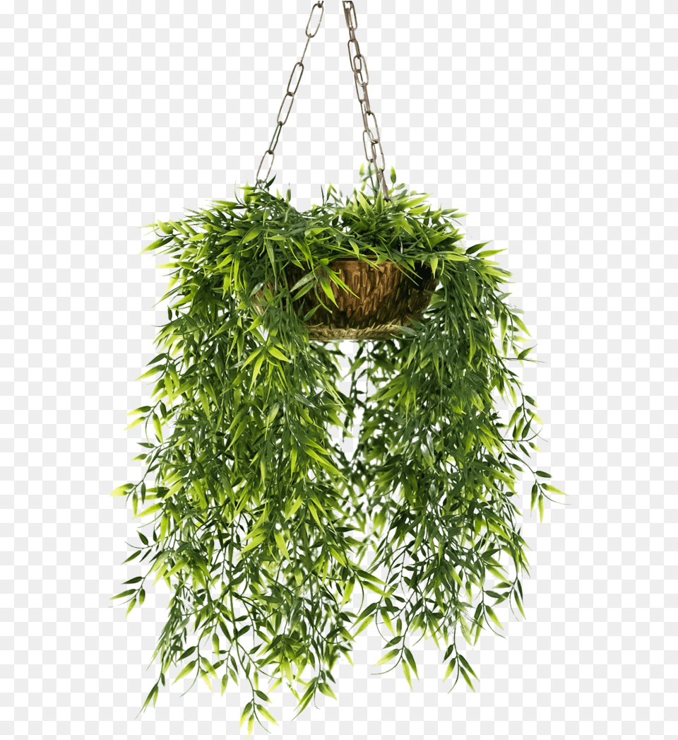 Hanging Plants Hanging Flower Pots, Plant, Potted Plant, Chandelier, Lamp Free Transparent Png