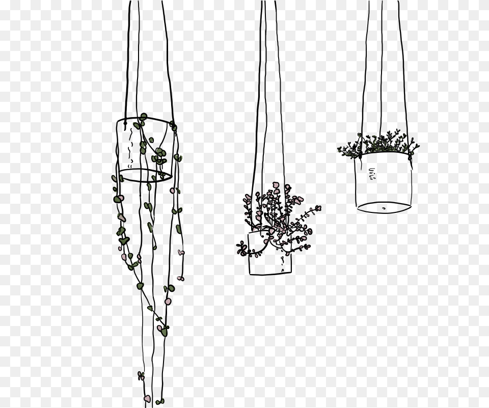 Hanging Plants Line Drawing Hanging Plants Line Art, Flower, Plant, Fireworks, Nature Png Image