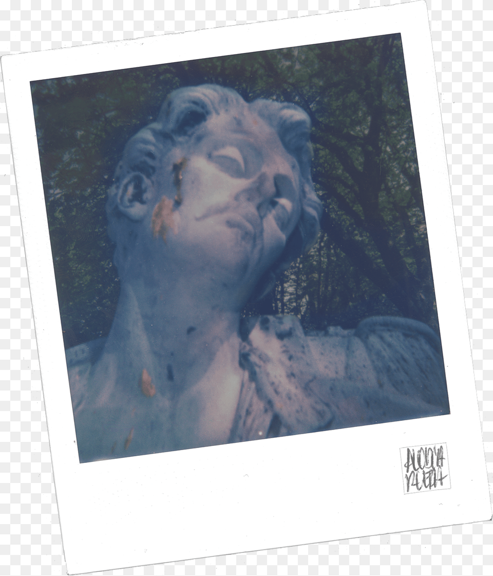 Hanging Polaroid Frame, Portrait, Art, Collage, Face Png Image
