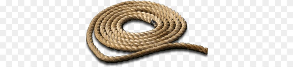 Hanging Rope Transparent Transparent Background Rope Clipart, Animal, Reptile, Snake Free Png
