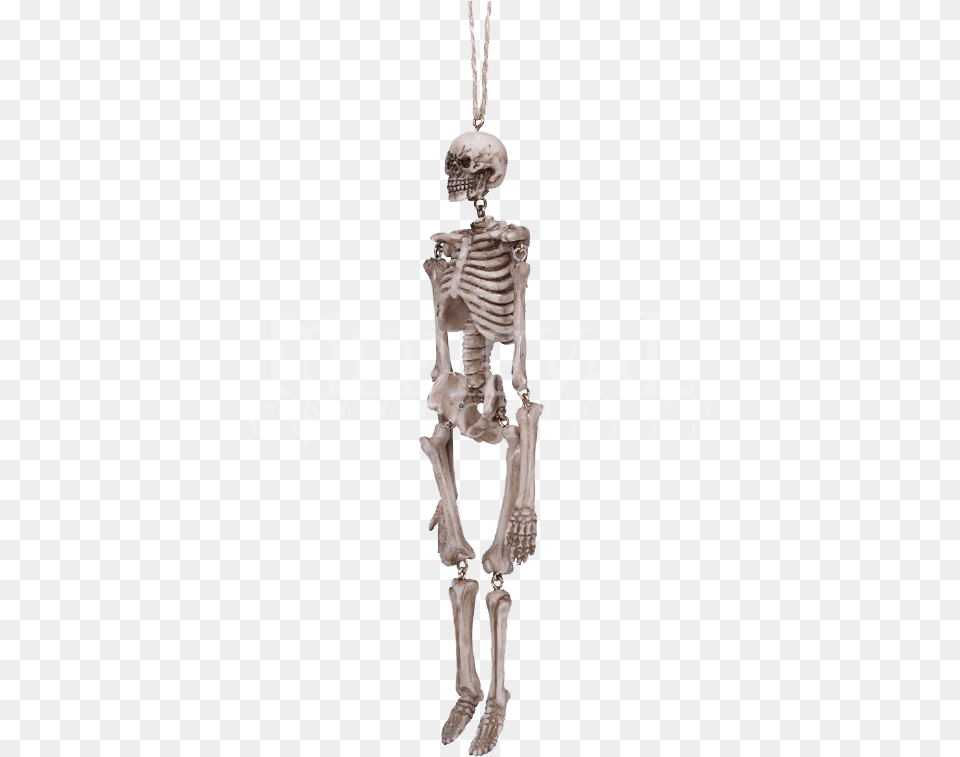 Hanging Skeleton Statue Skeleton, Chandelier, Lamp Free Transparent Png