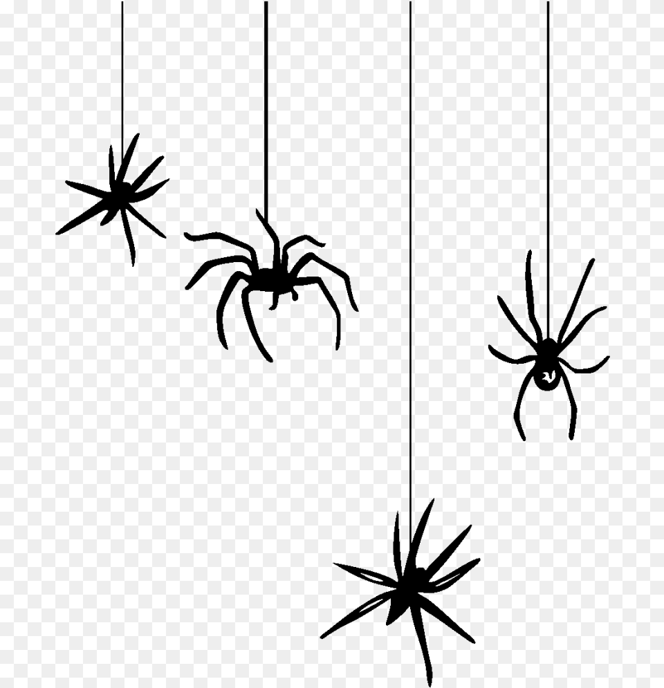 Hanging Spider Spider Clipart, Gray Free Png Download