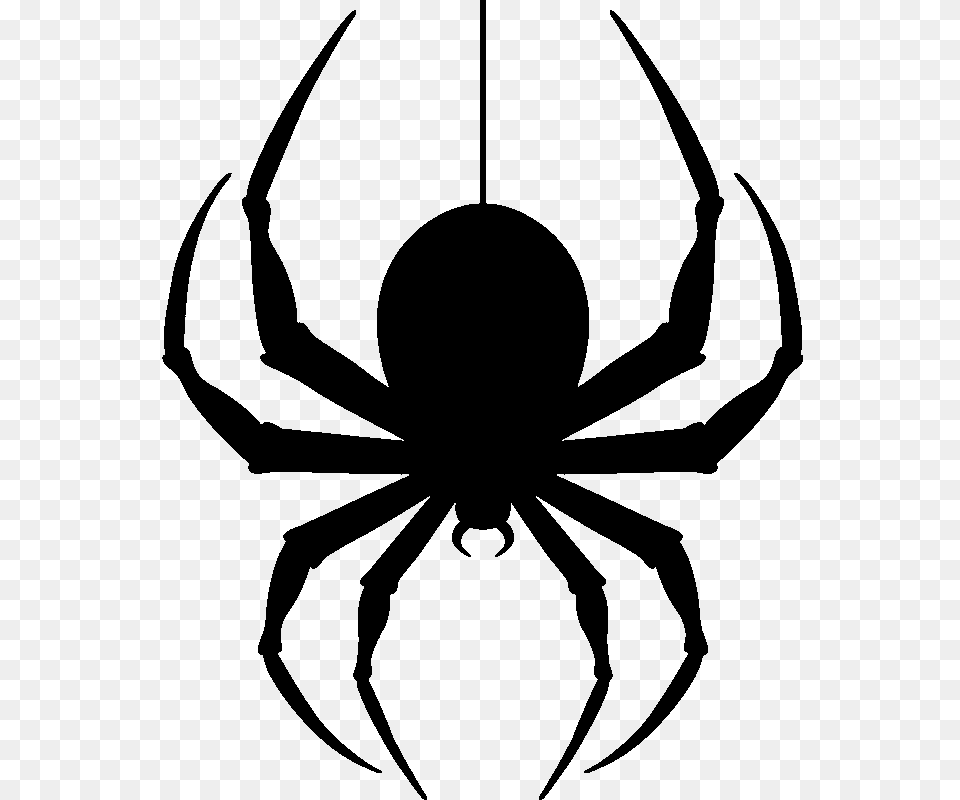 Hanging Spider Transparent Image, Stencil, Animal, Invertebrate Free Png