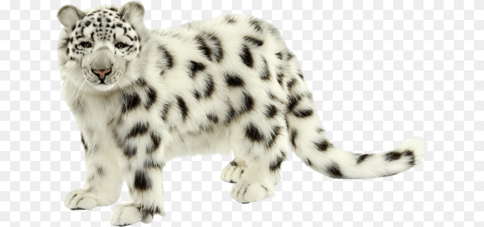 Hansa Creation Inc Hansa Snow Leopard, Animal, Mammal, Panther, Tiger Png