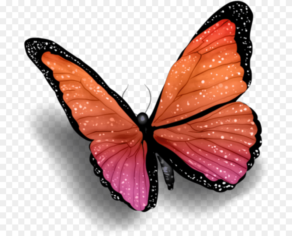 Happiness Blue Butterfly With Shadow, Flower, Petal, Plant, Art Free Transparent Png