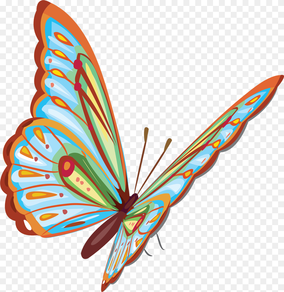 Happy 16th Birthday Quotes, Pattern, Animal, Invertebrate, Insect Free Transparent Png