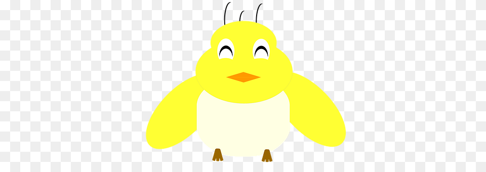 Happy Animal, Bird, Penguin Png Image