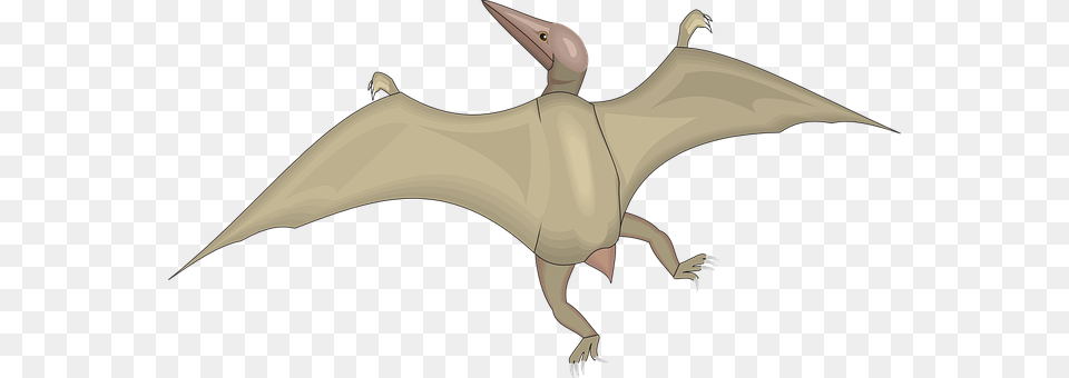 Happy Animal, Adult, Female, Person Free Png Download