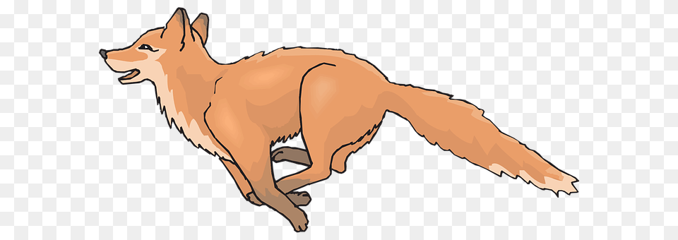 Happy Animal, Mammal, Kit Fox, Fox Free Png