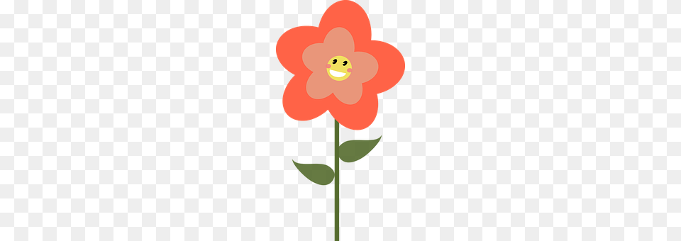 Happy Dahlia, Flower, Plant, Petal Free Png