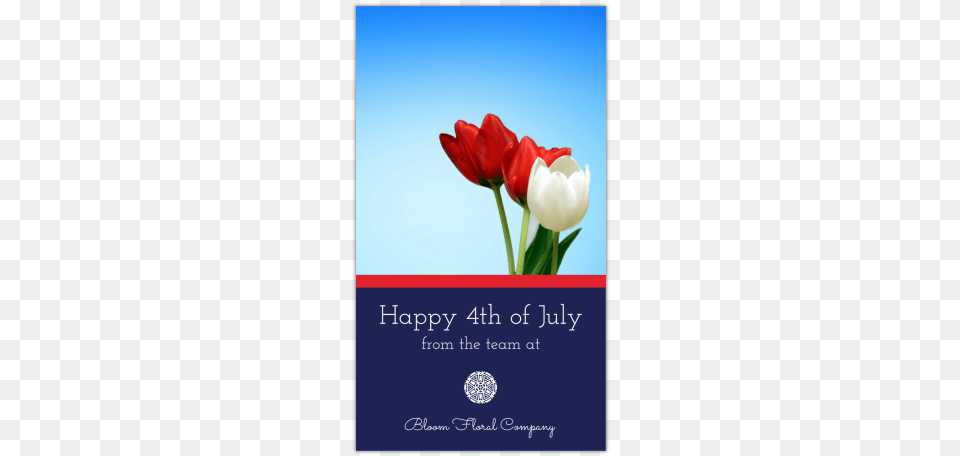 Happy 4th Of July Instagram Story Template Preview Sprenger39s Tulip, Advertisement, Flower, Plant, Poster Png