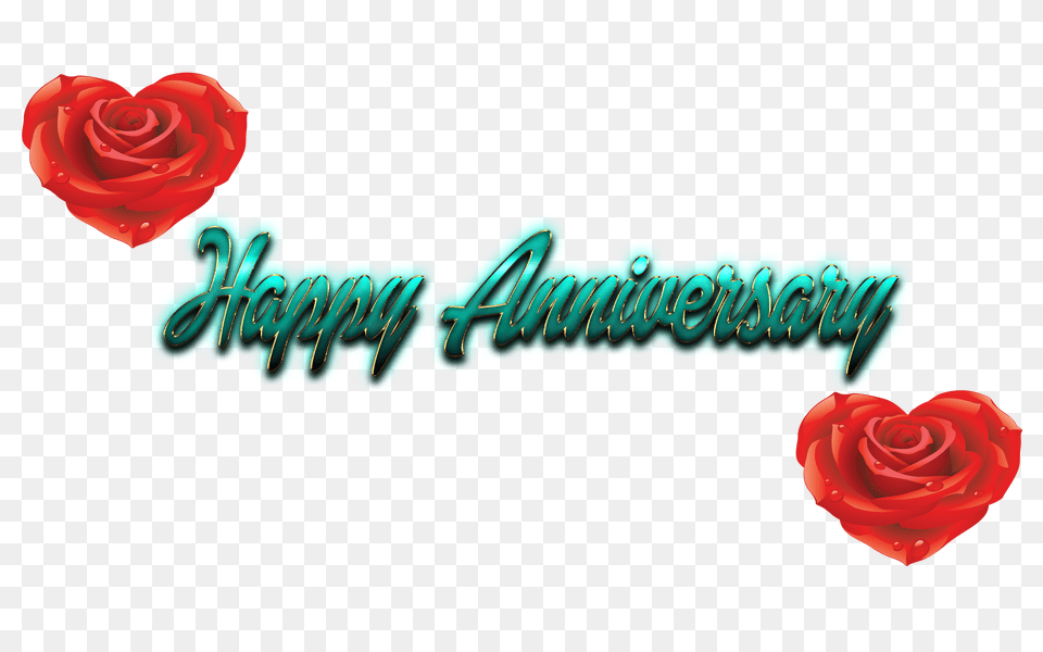Happy Anniversary Name, Flower, Plant, Rose Free Transparent Png