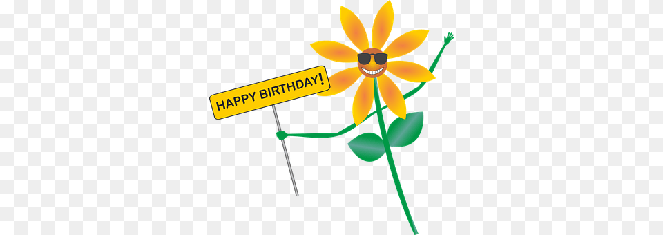 Happy Birthday Daisy, Flower, Plant, Petal Free Transparent Png