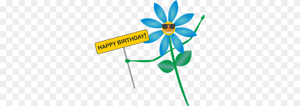 Happy Birthday Daisy, Flower, Plant, Anemone Png