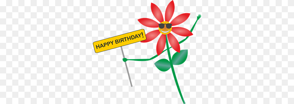Happy Birthday Daisy, Flower, Plant, Petal Png Image