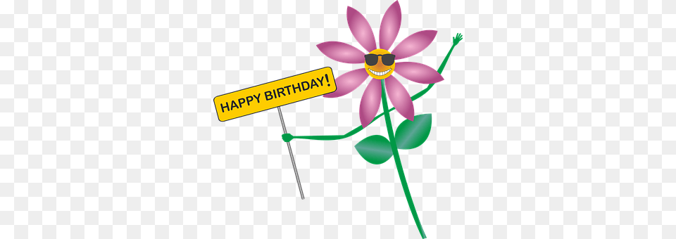 Happy Birthday Daisy, Flower, Plant, Petal Free Png