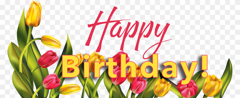 Happy Birthday First Lady, Flower, Plant, Envelope, Greeting Card Png