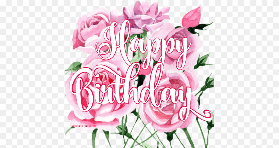 Happy Birthday Floral Stickers Perfect For Whatsapp Nice Happy Birthday Sticker, Flower, Plant, Rose, Petal Png