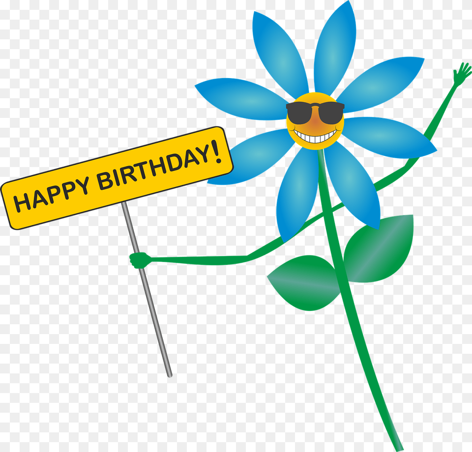 Happy Birthday Greetings Flowers, Daisy, Flower, Plant Png