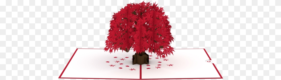 Happy Birthday Japanese Maple Tree Pop Up, Leaf, Plant Png Image