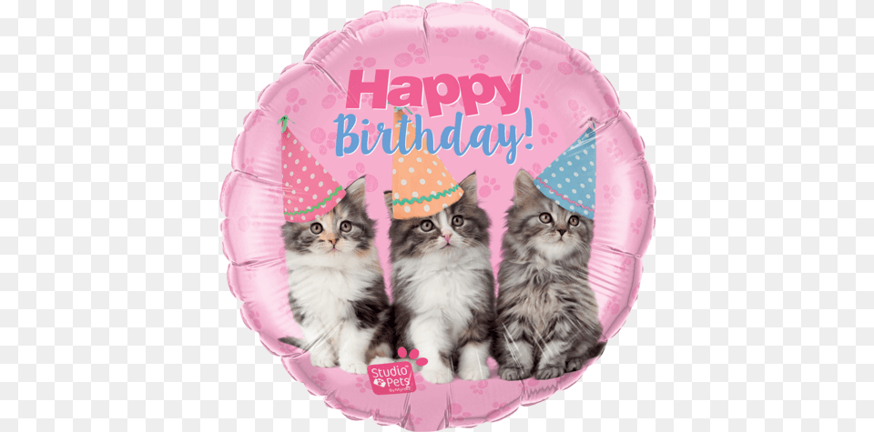 Happy Birthday Pets Foil Kittens Balloon Happy Birthday Cat And Balloons, Animal, Clothing, Hat, Kitten Free Transparent Png