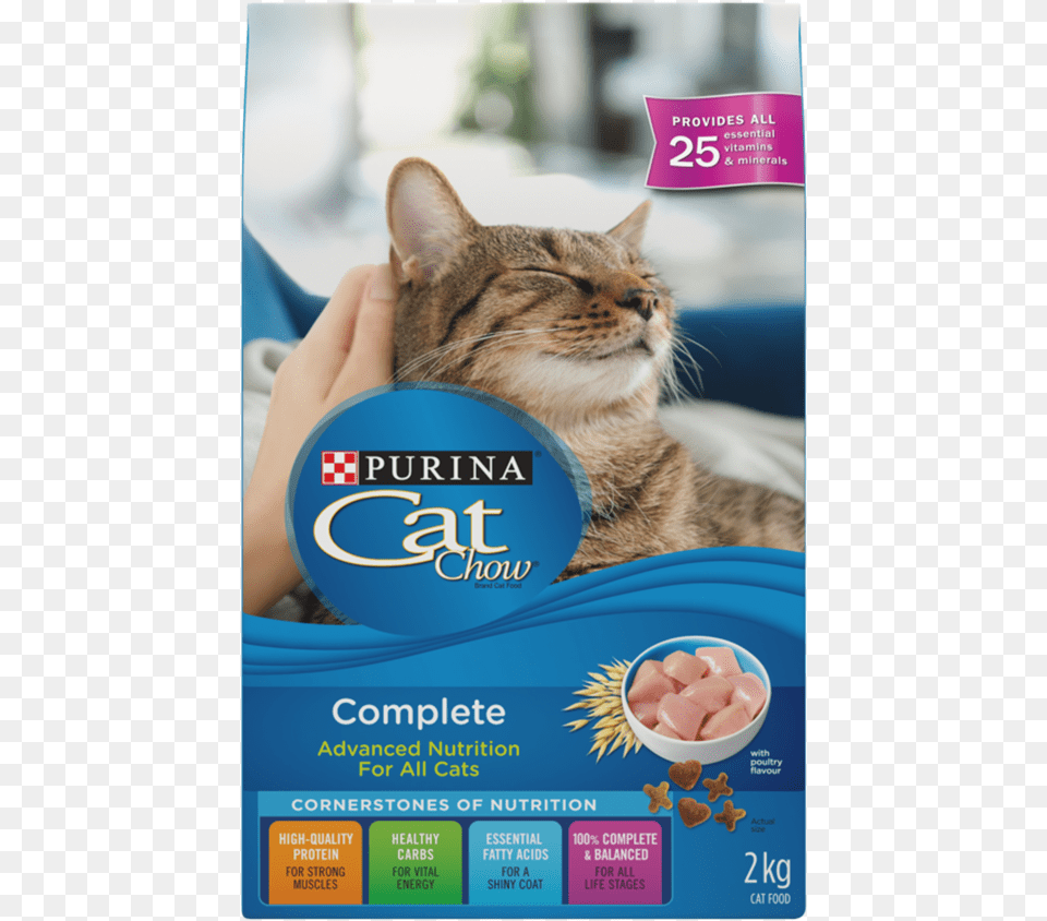 Happy Cat, Advertisement, Poster, Animal, Mammal Free Transparent Png