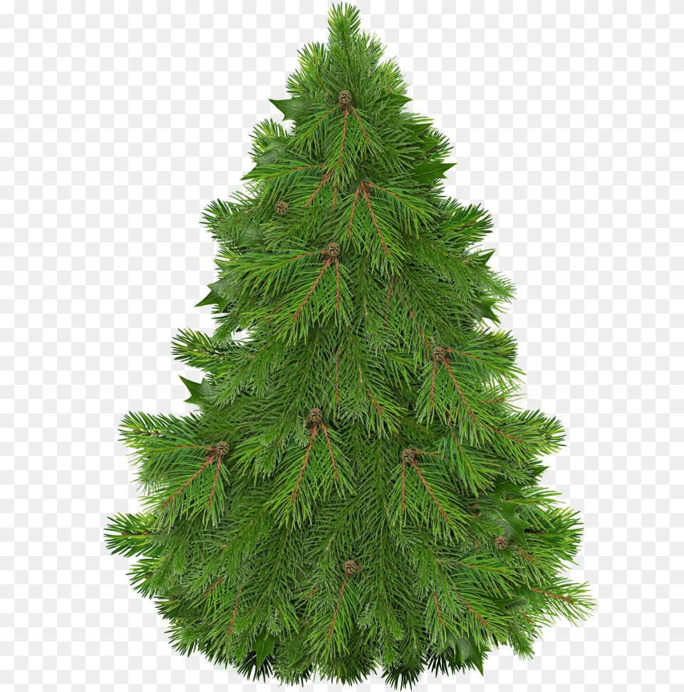Happy Christmas Christmas Tree Clipart Christmas Trees Christmas Tree, Fir, Pine, Plant, Conifer Free Transparent Png
