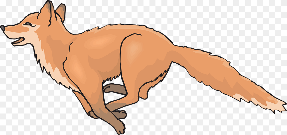 Happy Clipart, Animal, Mammal, Coyote, Baby Free Png Download