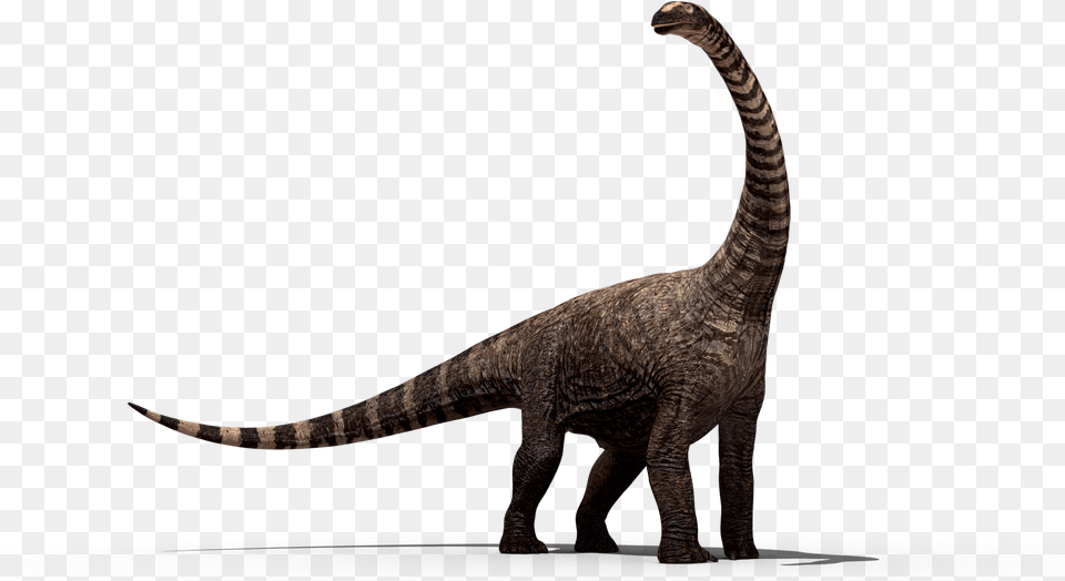 Happy Dinosaur Long Neck Dinosaur, Animal, Reptile, T-rex Png Image