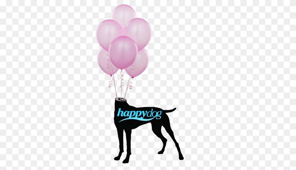 Happy Dog Gallery, Balloon, People, Person Free Transparent Png
