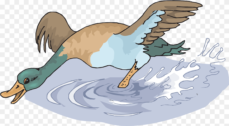 Happy Duck Splashing In Water Cartoon, Animal, Beak, Bird, Adult Png Image