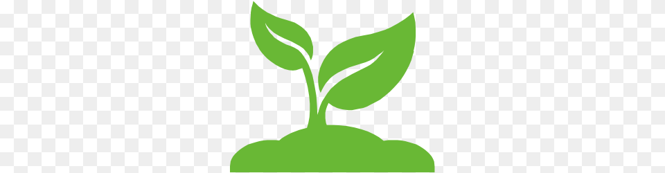 Happy Earth Day, Leaf, Plant, Green, Herbal Free Transparent Png