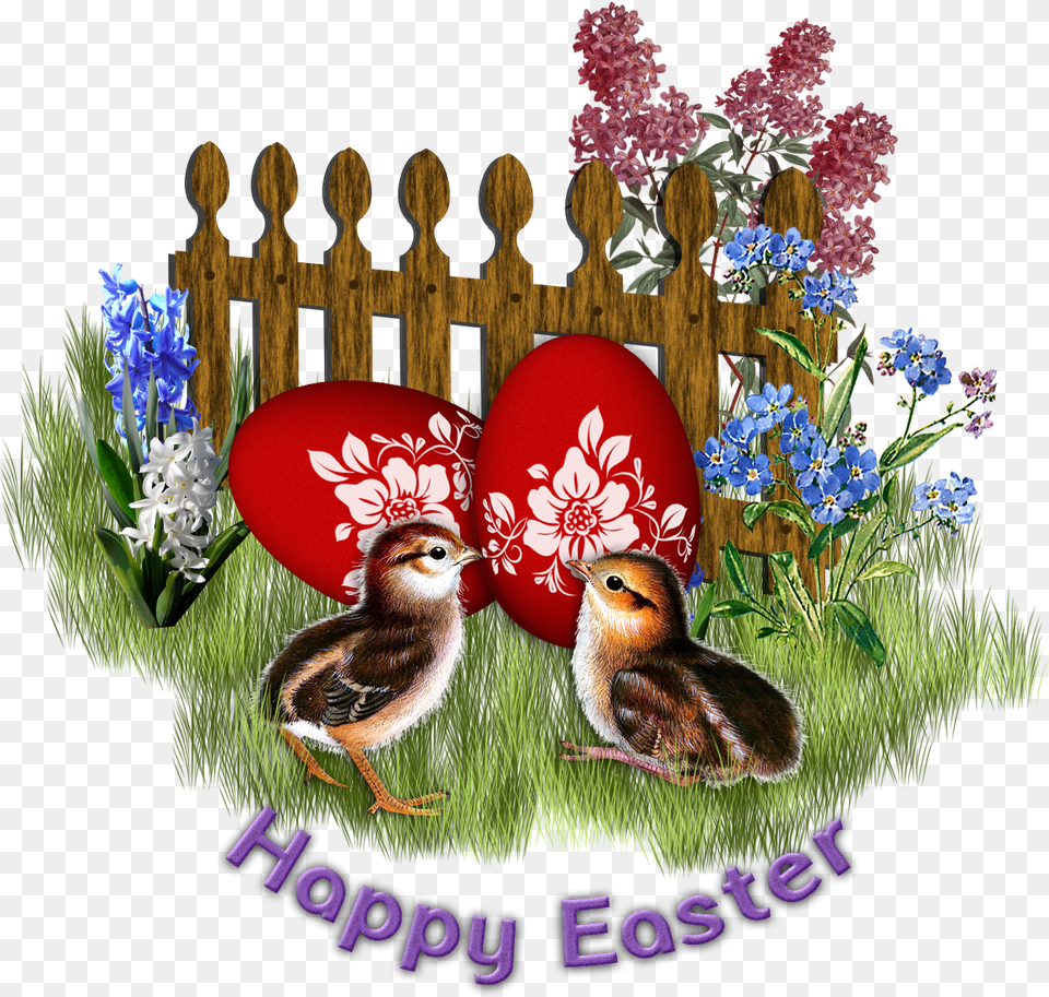 Happy Easter Pillow Kifaranga Image High Quality Turkey, Fence, Animal, Bird, Flower Free Transparent Png