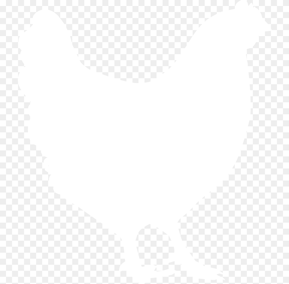 Happy Egg Co Raised With Love, Animal, Bird, Chicken, Fowl Png