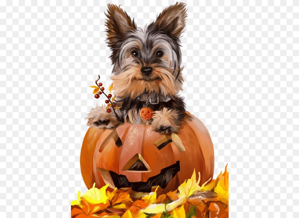 Happy Halloween With Animals, Animal, Pet, Mammal, Dog Free Png Download