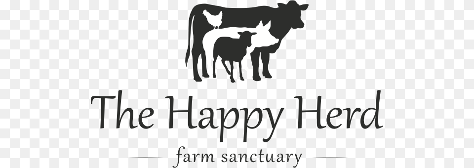 Happy Herd Animal Sanctuary, Livestock, Mammal, Sheep, Deer Free Png Download