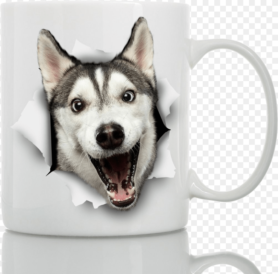 Happy Husky, Animal, Canine, Dog, Mammal Png Image