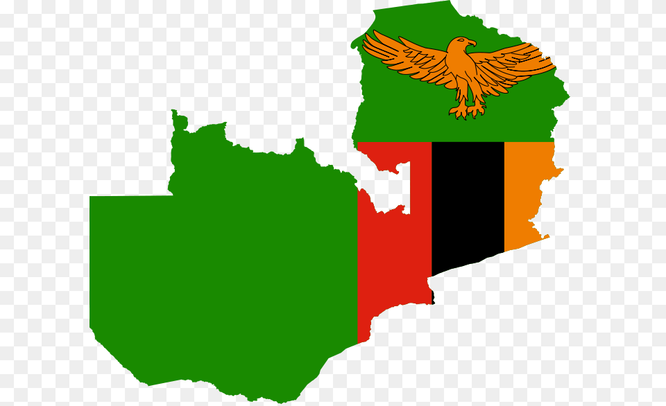 Happy Independence Day To All The Zambians Out There, Animal, Bird, Vulture, Adult Png