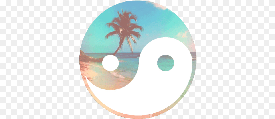 Happy Labor Day Love Bugs Hope You Are All Vanessa Aesthetic Yin Yang Transparent Background, Disk, Dvd Png Image