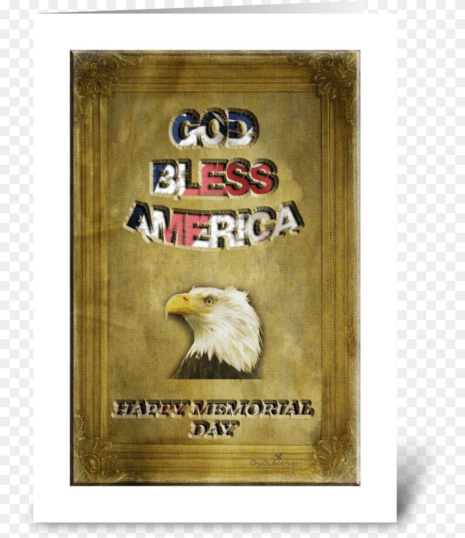 Happy Memorial Day Greeting Card Bald Eagle, Animal, Beak, Bird Free Png Download