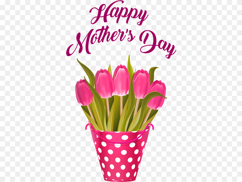 Happy Mother S Day Tulips In Bucket Flowers Tulip Happy Mother Day Date 2019, Flower, Flower Arrangement, Flower Bouquet, Jar Png